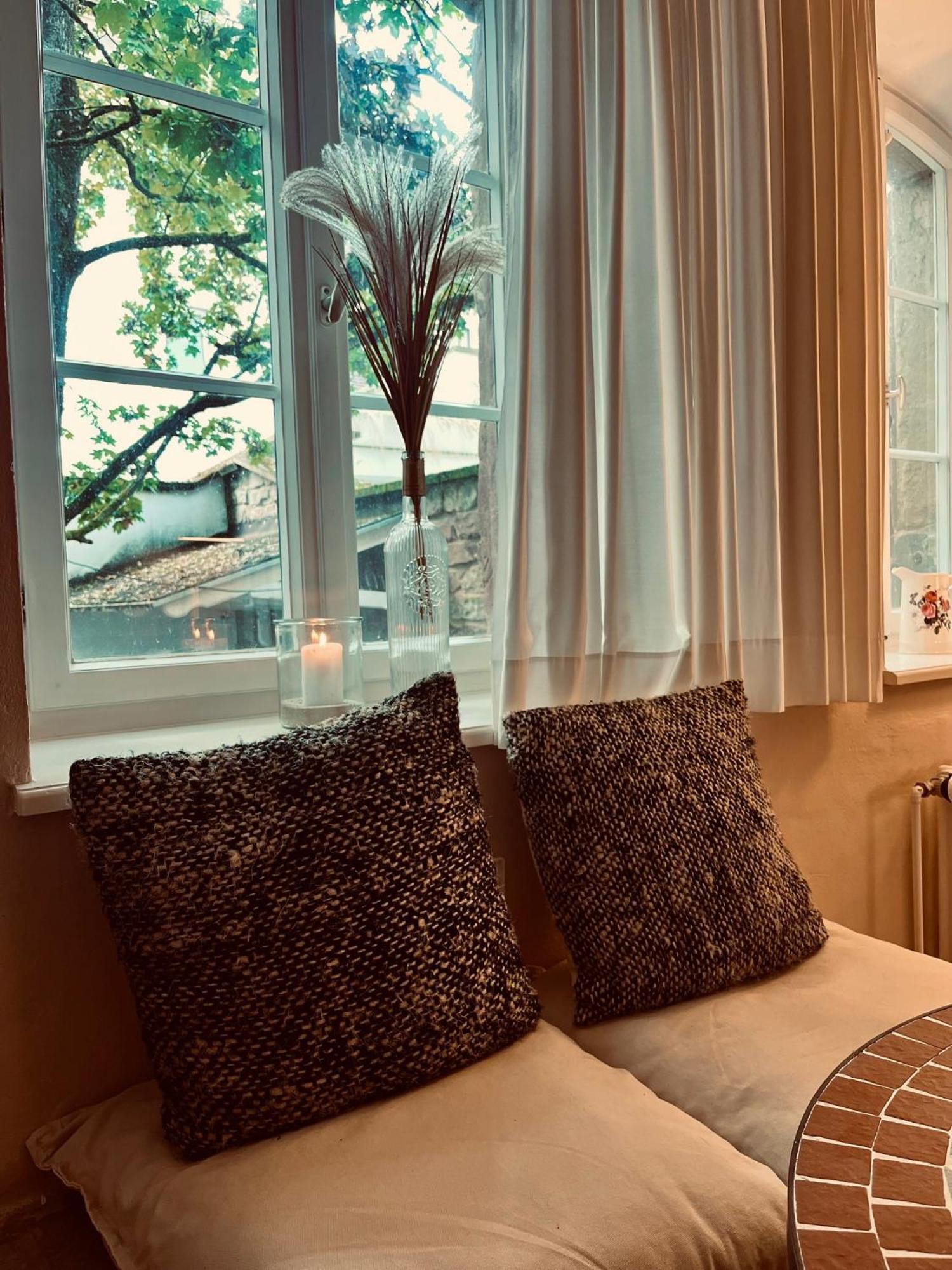 Apartment Am Schloss - Flair Saarbrücken Eksteriør bilde
