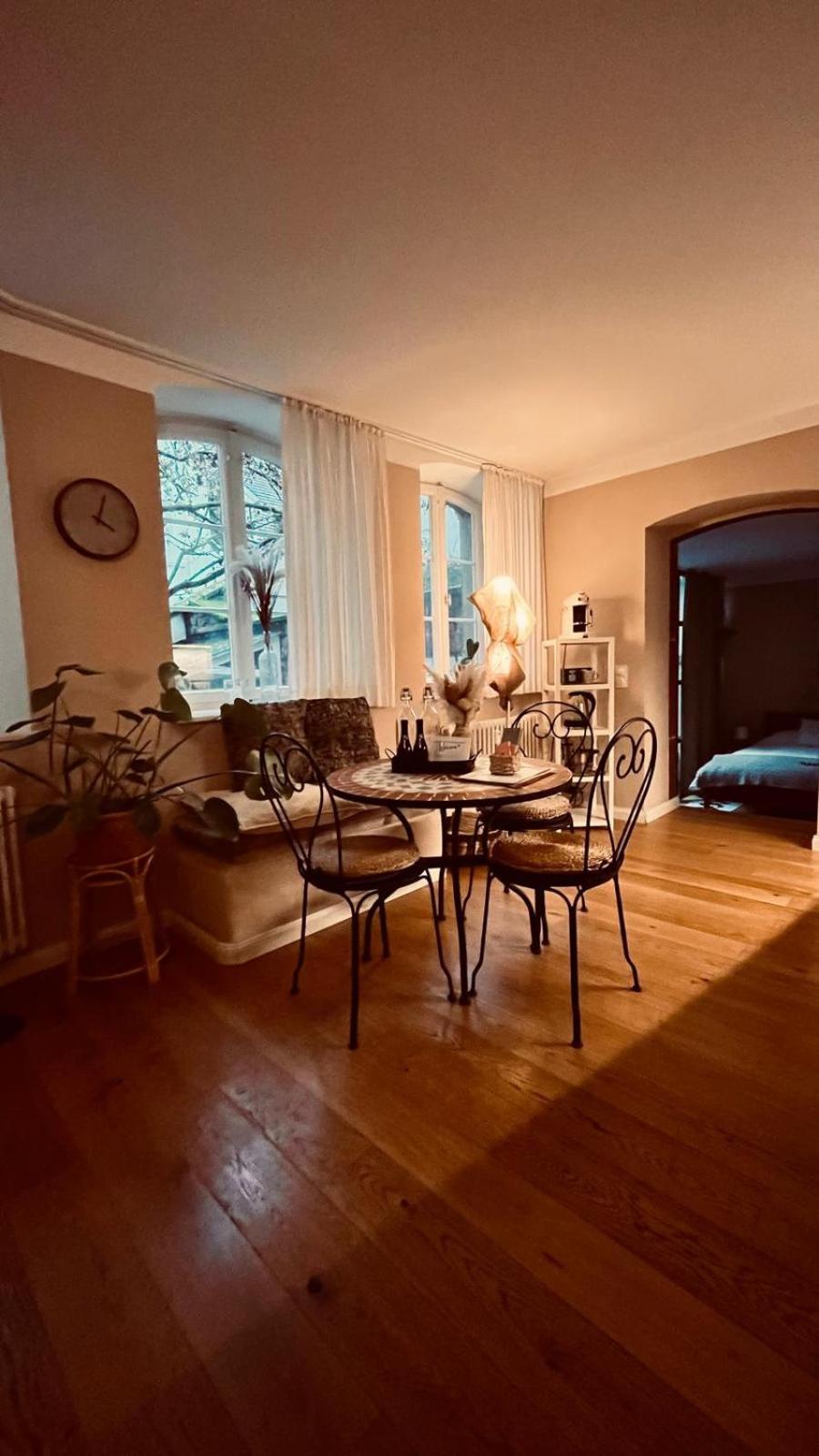 Apartment Am Schloss - Flair Saarbrücken Eksteriør bilde
